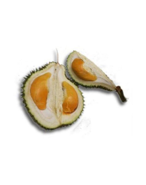 Quality Durian Freeze Dried Fruit Pieces Monthong Variety From Thailand No Additives No Added Sugar Premium - Image 4