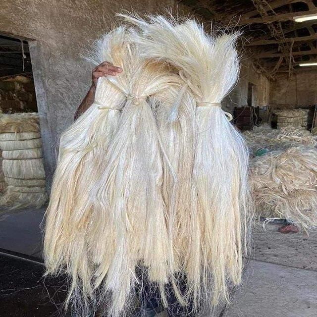 High Quality  Natural UG grade1 Sisal Fiber Eco-Friendly Other Fiber for Decorations Manufacturers Bleached Polylactic Acid Fiber for Concrete & Spinning Use - Image 3