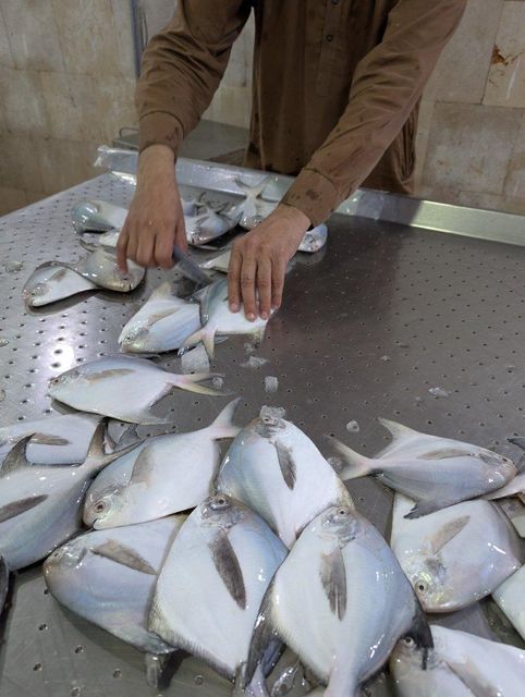 White pomfret – product photo 3, product detail gallery