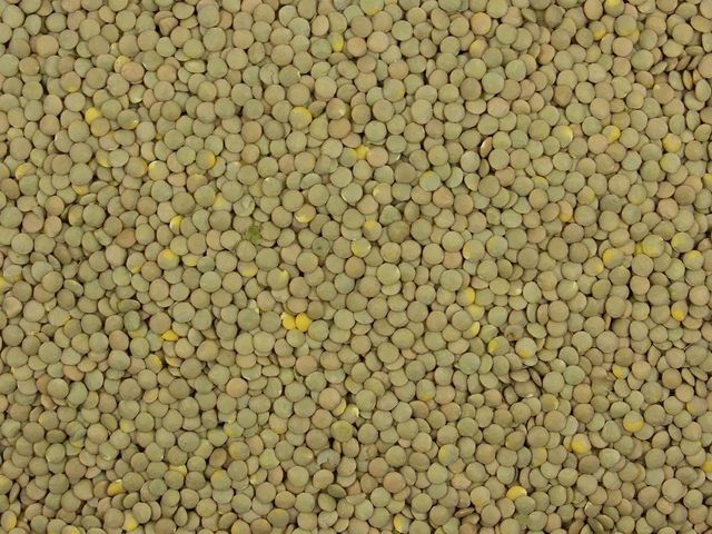 Natural Green Lentils Raw Whole Seeds Clean Fresh Premium Quality High Protein Perfect For Healthy Meals Cooking And Industrial Food Use Buy Today Fast Delivery Premium Quality Wholesale - Image 3