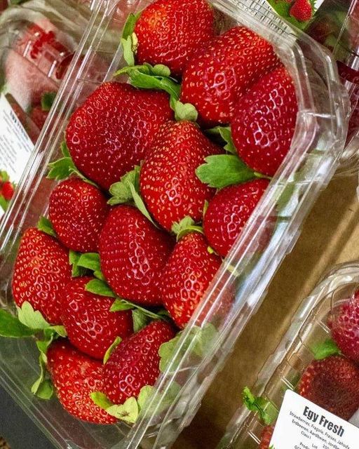 Fresh Strawberry 🍓 Fiber 2-3% Size Medium Sugar 5-10% Origin Global Moisture 90-95% Acidity 0.5-1.5% Vitamin C Rich - Image 1