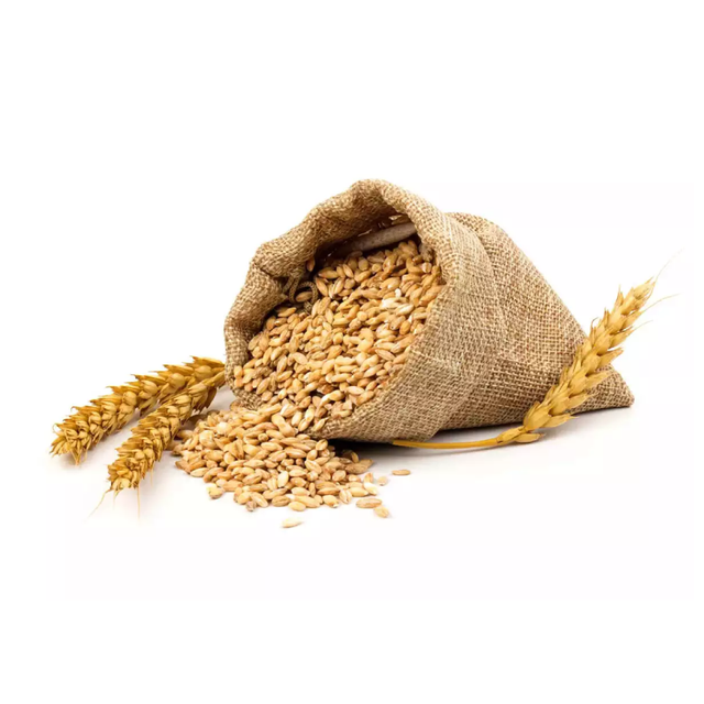 Golden Fields Top-Quality Whole Wheat Grains Perfect for Healthy Living Premium Quality Whole Wheat Grains - Image 4