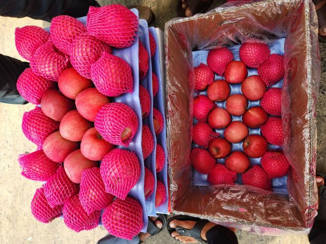 Fresh Fuji Apples for sale class 1 export quality - Image 5