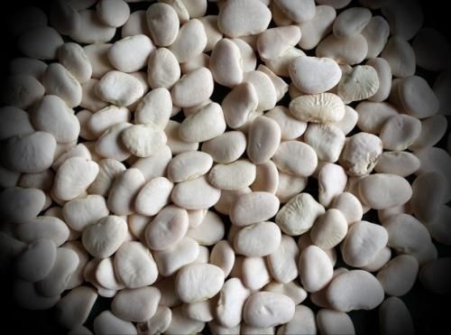 Factory Wholesale High Protein 25kg 50kg Bag White Bean Baifeng Kidney Bean Butter Bean - Image 5