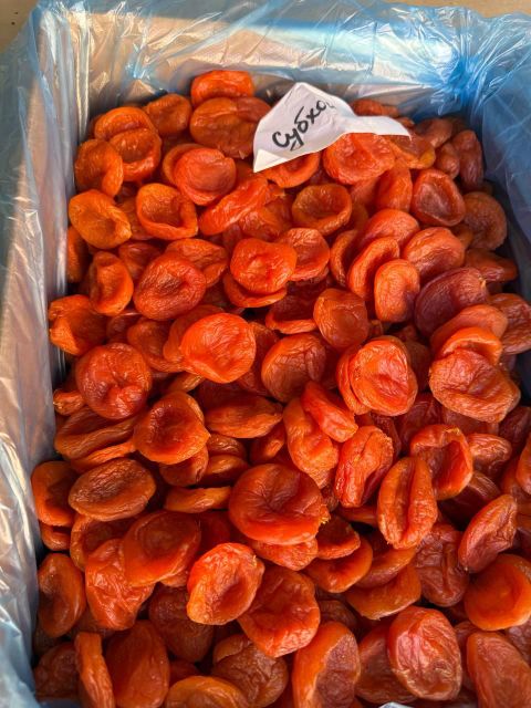 Dried Apricots | Top Grade | Pitted | Size 1-4 | SO2 | Conventional | Uzbekistan - Image 4
