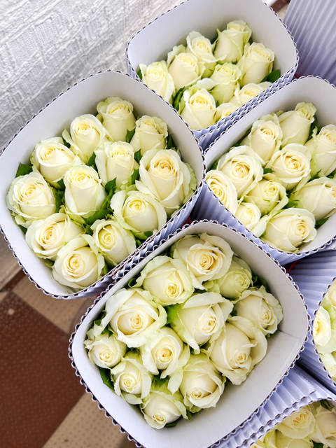 Premium Roses – Hosur (All Colours) - Image 5