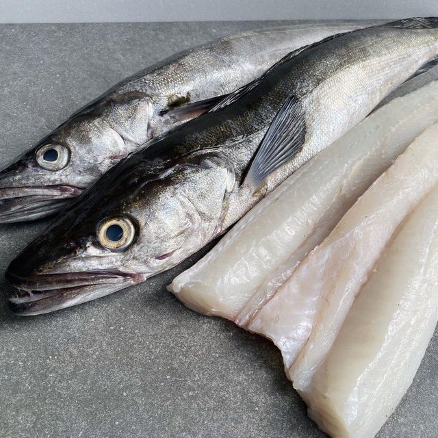 Frozen Hake Fish Ocean Sourced Product With White Flesh Excellent Portion Recovery And Controlled Temperature Management - Image 2