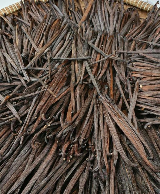Vanilla Beans Grade A with various length between 12 cm and above, moisture level between 20%-35%. - Image 3