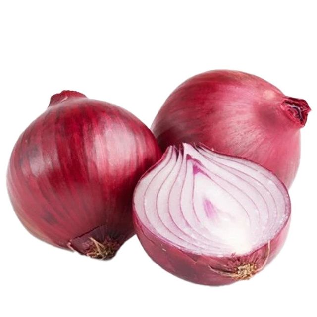 Natural Fresh Onion Large Bulbs With Vibrant Color And Strong Aromatic Flavor - Image 4