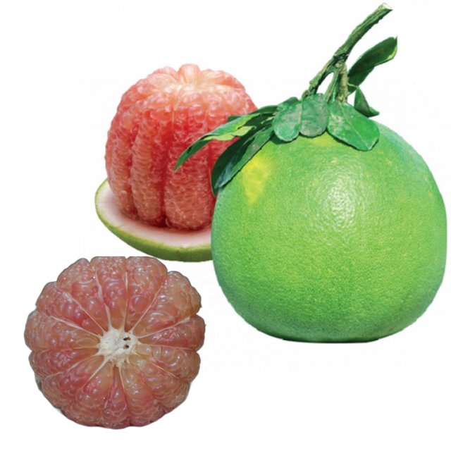 Red Fruit Pomelos Vietnam Pomelo Grapefruit from View Nam High Quality Fresh, Used -1.5 -2.0 (kg) dia 20 (cm) - Image 4