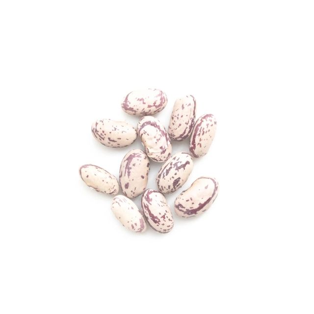 Fresh Kidney Beans Light Speckled High Quality Cheap Price Netherlands 2 Year Shelf Life Custom Brand - Image 3