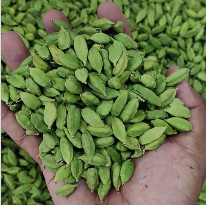Kerala Green Cardamom 6mm to 8.5mm+ - Image 3