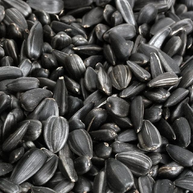 Sunflower Seed Oil - Image 2