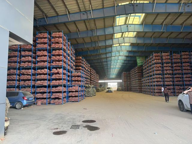Fresh Vegetables Certifications Haccp, Iso Supply Stability Year-round Packaging Options 5kg/10kg Boxes, Mesh Bags Customization Support Oem Or Private-label - Image 4
