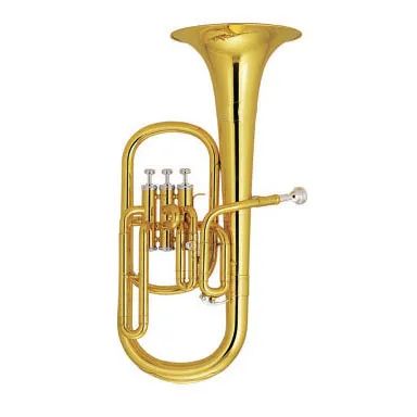 Alto Horn Eb Key/ Brass Instrument/Alto Horn Brand OEM Age Adults Bell 205mm Color Gold Bore 11.8mm Trademark OEM Case Foambody - Image 1