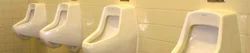Bidets Urinals Material Ceramic Available Colors Different Colors Installation Context Bathrooms Of Offices Or Houses Available Patterns Half Stall, Corner, Squatting, Flat Back, Sensor Or Automatic, Waterless, Decorative, Urinal - Image 1