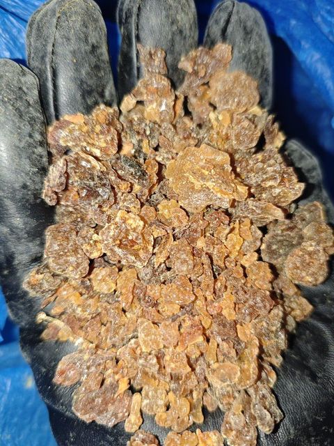 Myrrh Resin Commiphora Myrrha 2025 Harvest - Image 2
