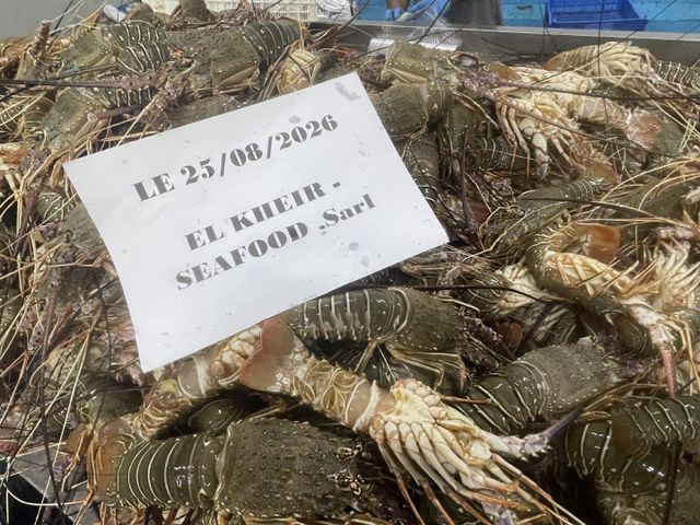 Frozen lobster - Image 1
