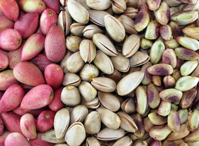 Pistachios Nuts - Image 4