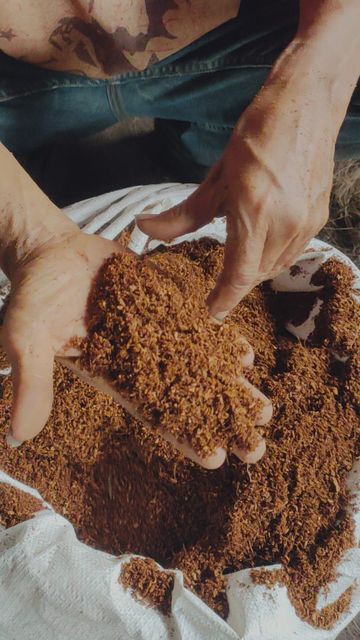 Cocopeat Bulk - Image 1