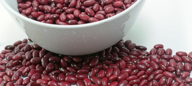 Premium Fresh Harvest 2024 Ethiopian Red Kidney Beans, Direct from Farm, Wholesale, Top Quality Bulk Quantity – product photo 5, product detail gallery