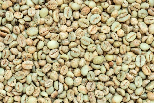 Robusta Coffee Beans Bulk Wholesale Consistent Supply | Top Quality Robusta Coffee - Image 2