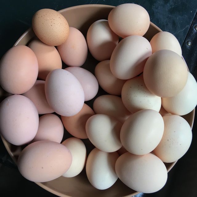 Premium Fresh Table Chicken Eggs With Verified Source Chicken Eggs Packed For Reliable Export And Bulk Buyers - Image 4