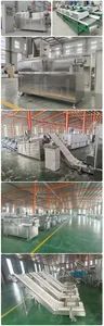 Breakfast Cereal Organic Puffed Cornflake Make Machine Small Maize Corn Flake Production Line Price - Image 5