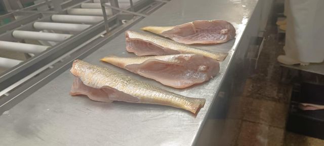 Pan Ready - Yellow Croaker - Image 3
