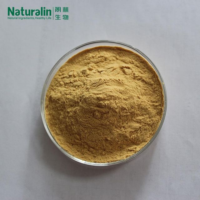 Ginseng Extract - Image 4