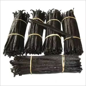 Vanilla Beans - Image 1