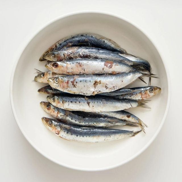 Frozen Sardine Fish Ocean Harvest Selection With Reliable Packaging And Fresh Flavor For Food Industry Supply - Image 4