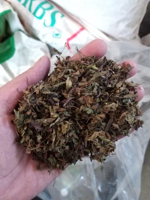 Dried Krishna Tulsi Leaf Grade FOOD Color GREEN Packaging HDPE Digestion Aid Yes Max. Moisture (%) 8% Shelf Life 24 MONTHS - Image 2
