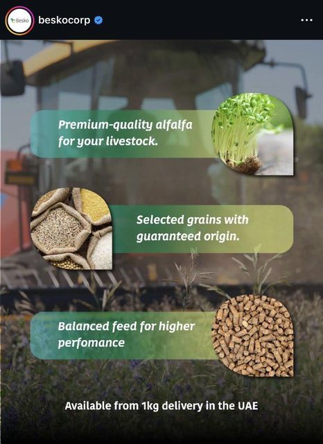 Argentinian Alfalfa - Sun dried - Premium Quality - Green Packaging Bale Quality Premium Color Dry green Origin - Image 4