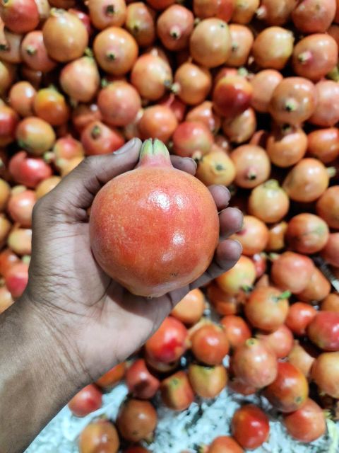 Fresh Pomegranate Packaging 2kg/box Features Fair Trade Degree of Processing Whole - Image 3