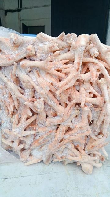Grade A Halal :Frozen Chicken Feet, Frozen Chicken pews, Frozen Chicken Tails, Frozen Chicken wings,Mixed Chicken Thighs - Image 1