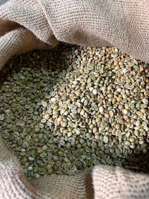 Raw cashew nuts and soybeans available - Image 3