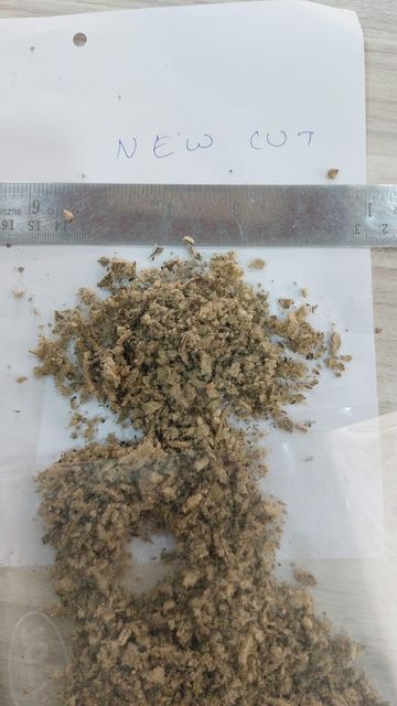 Dried Mullein Leaf Grade FOOD Color GREEN Packaging HDPE BAGS Max. Moisture (%) 8% Shelf Life 24 MONTHS Place of Origin INDIA - Image 4