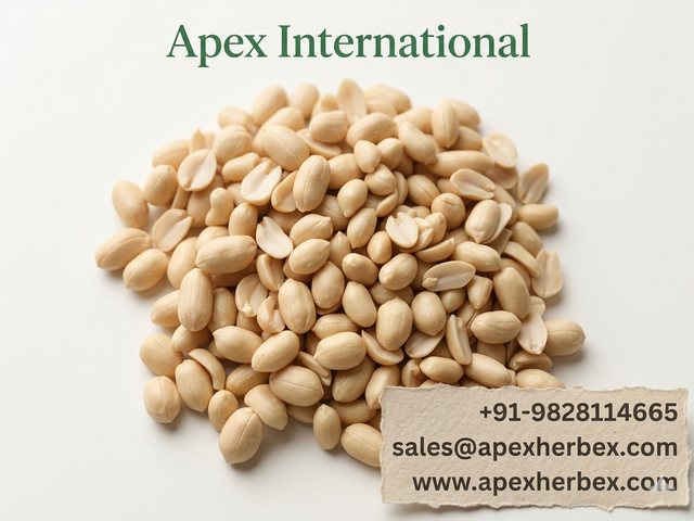 Blanched Peanut 4050, Blanched Peanut 40 50, Blanched Peanut Whole 4050 ,Peanut, Peanuts, Arachis hypogaea, Blanched Peanut Whole Blanched Peanut Kernels, Blanched Peanut , Indian Blanched Peanuts, Indian Blanched Peanuts, Peanuts Kernels, Peanut With Shell, Peanuts, Indian Peanuts, Blanched Peanut Supplier From India. - Image 1