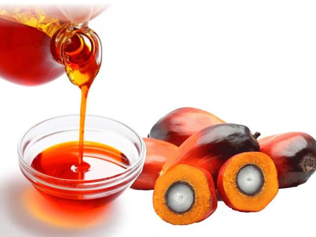Crude Palm Oil, CP8, CP10 Packaging 20L - Image 1