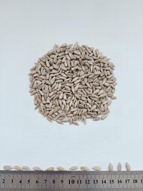 Sunflower kernels confectionery  Grade Confection Manufacturer Agimax Bulgaria Packaging Big Bags/Paper - Image 2