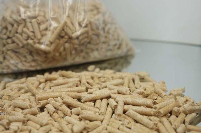 Premium Wood Pellets | ENplus A1 Wood Pellets | Biomass Fuel Pellets | Industrial & Heating Grade - Image 4