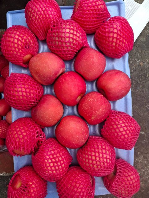 Fresh Fuji Apples for sale class 1 export quality - Image 4