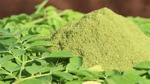 Organic Moringa powder - Image 3
