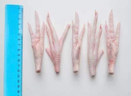 Frozen Chicken Paws - Image 2