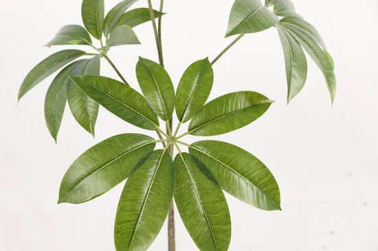 Umbrella Tree New Style Ecofriendly Artificial Plant - Image 3