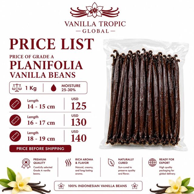 Vanilla Bean - Image 1