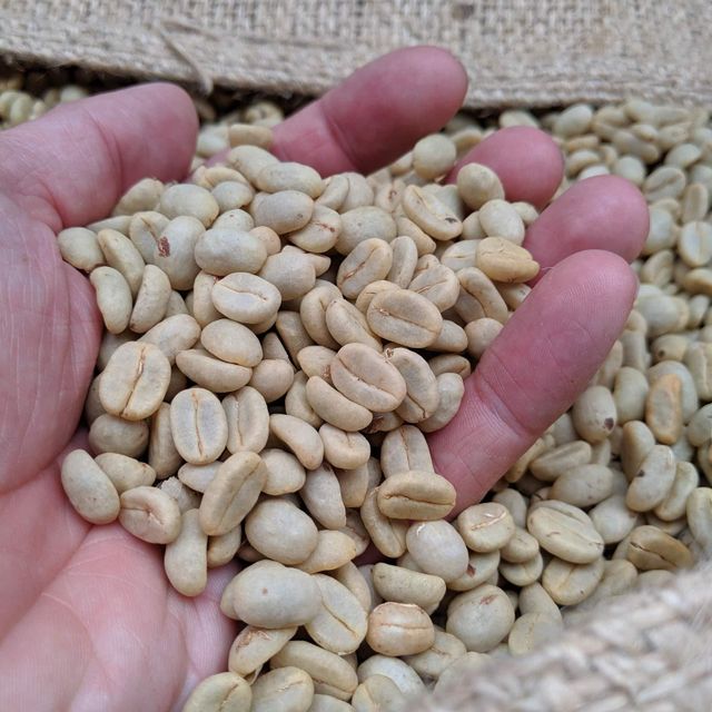 Premium Raw Beans Coffee High Caffeine Content Strong Taste | Natural Green Beans Coffee Bean - Image 4