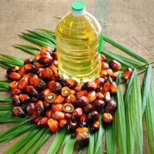 Rapeseed Oil Manufacturer - Image 2