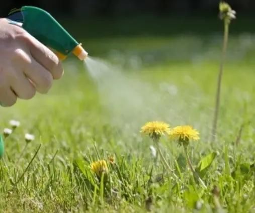 Fungicides, liquid - Image 1